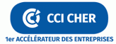 Logo CCI Cher